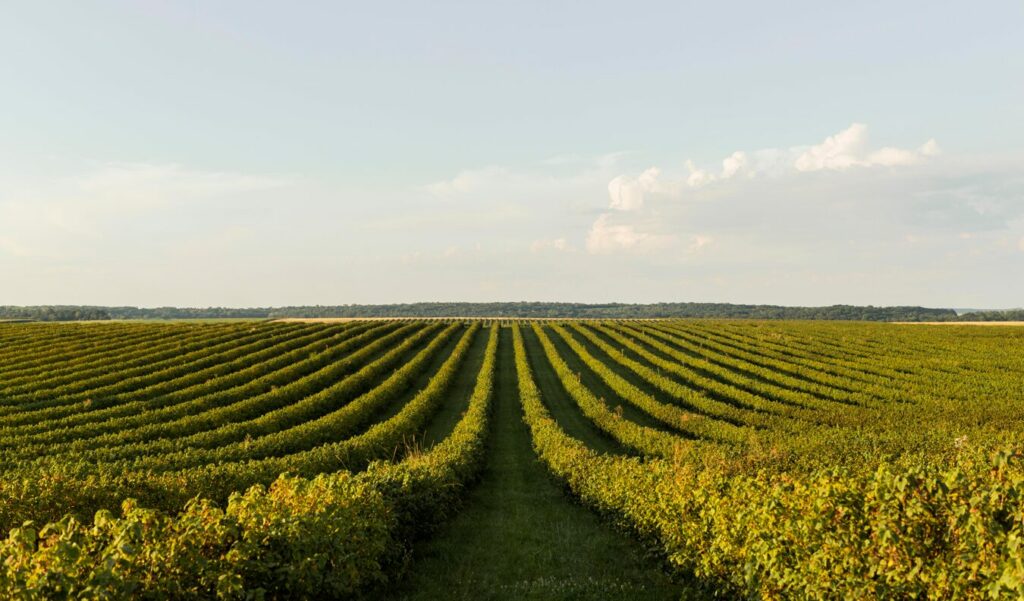 Produtos do agronegócio exportados e importados pelo Brasil