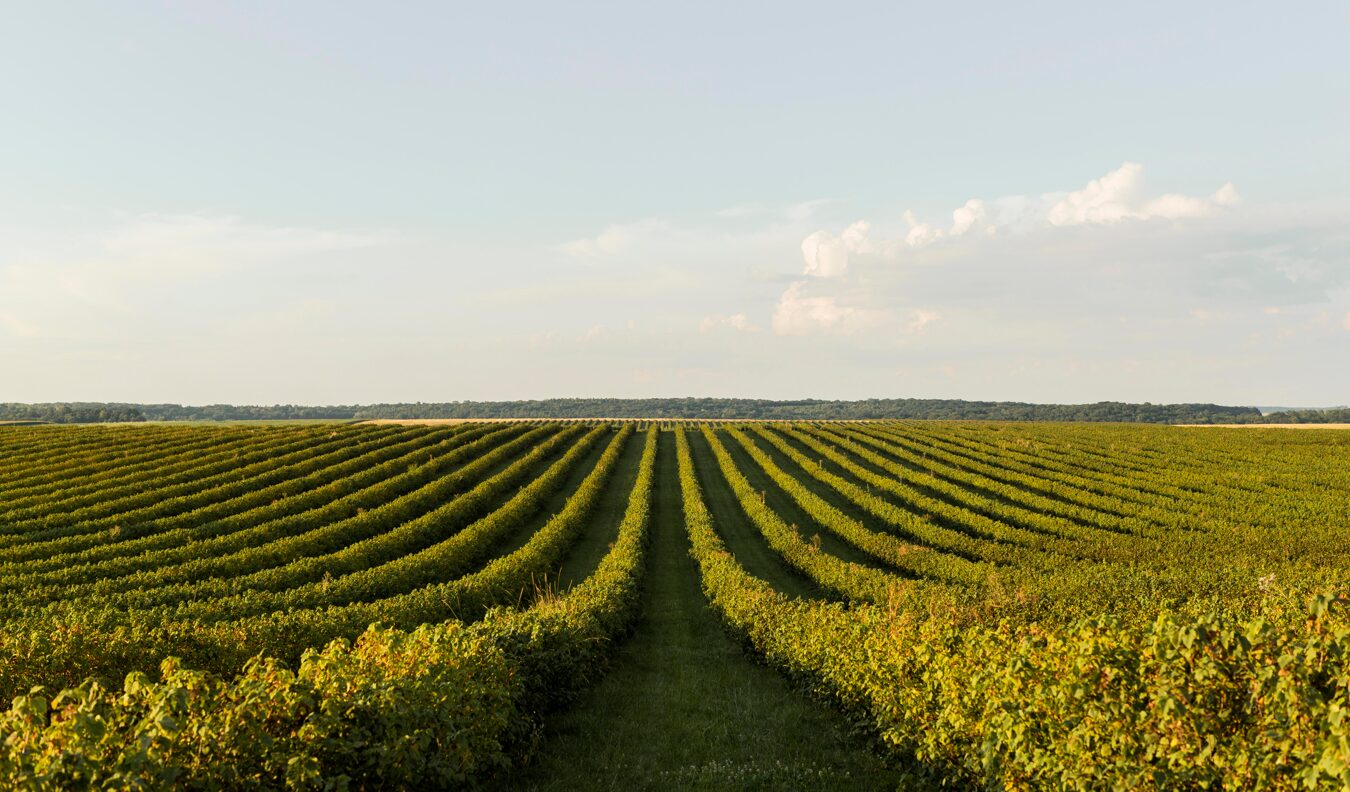 Produtos do agronegócio exportados e importados pelo Brasil